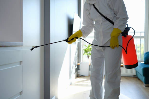 Best Mold Removal Process  in Republic, WA