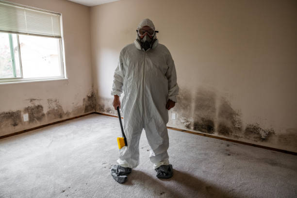 Best Affordable Mold Removal  in Republic, WA